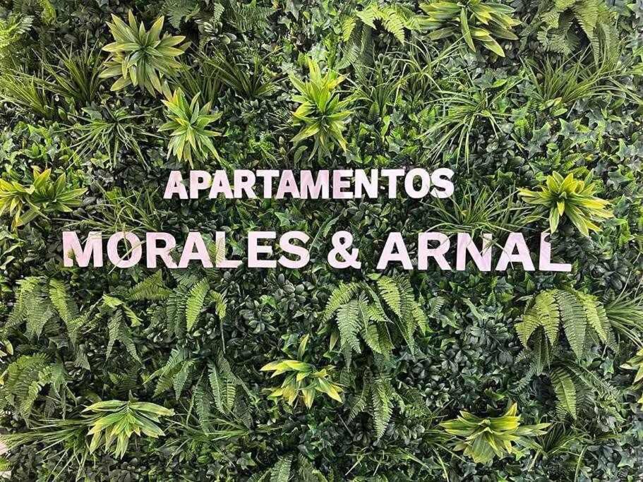 XXI E Apartamentos Morales & Arnal 龙达 外观 照片